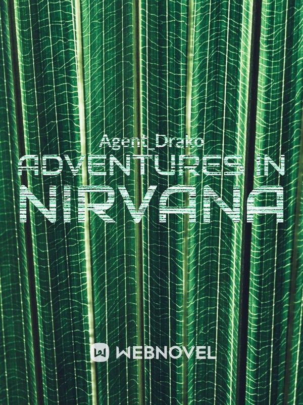 Adventures in Nirvana